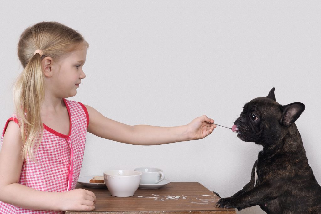 Bouledogue français avec enfant