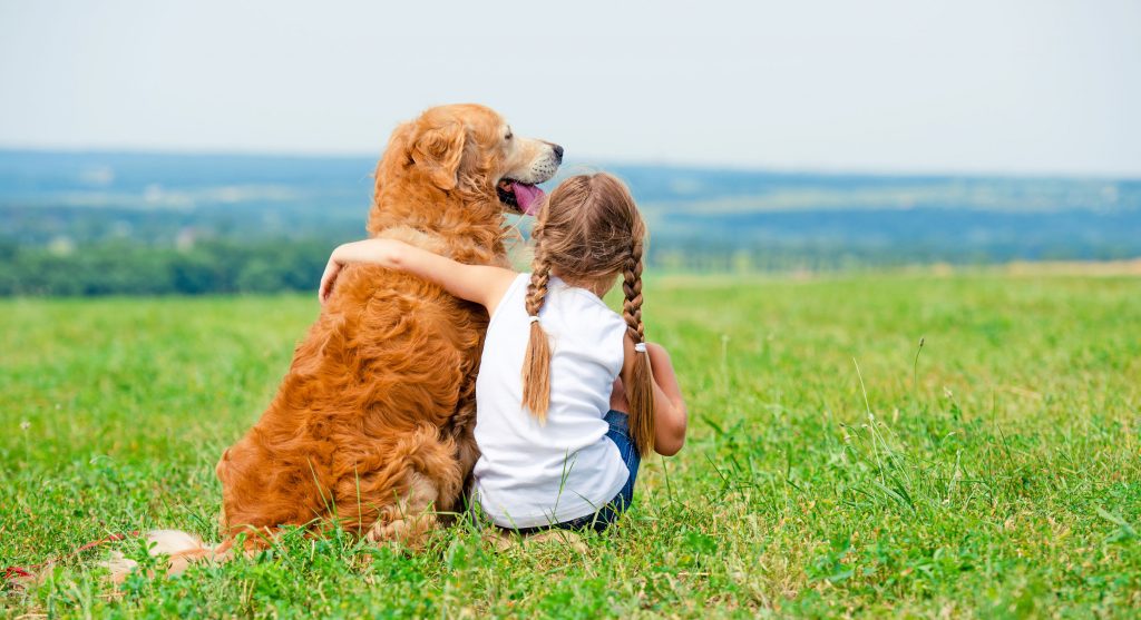 golden retriever avec un enfant