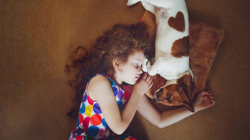 sieste avec un chien