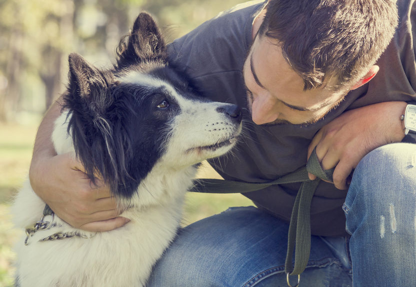 Trop parler à son chien