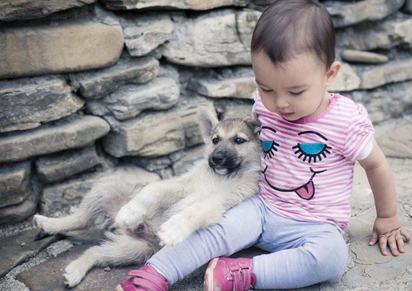 Chiot avec enfant