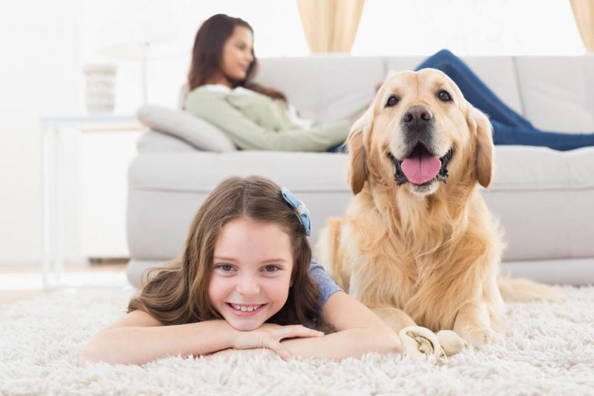 Faire héberger son chien chez des amis 