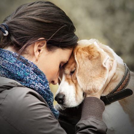 être en harmonie avec son chien