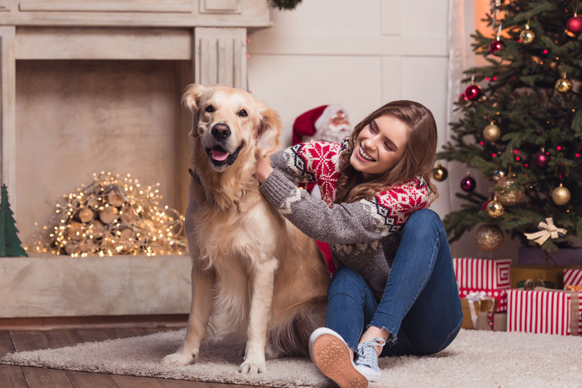 Labrador et jeune femme à noël