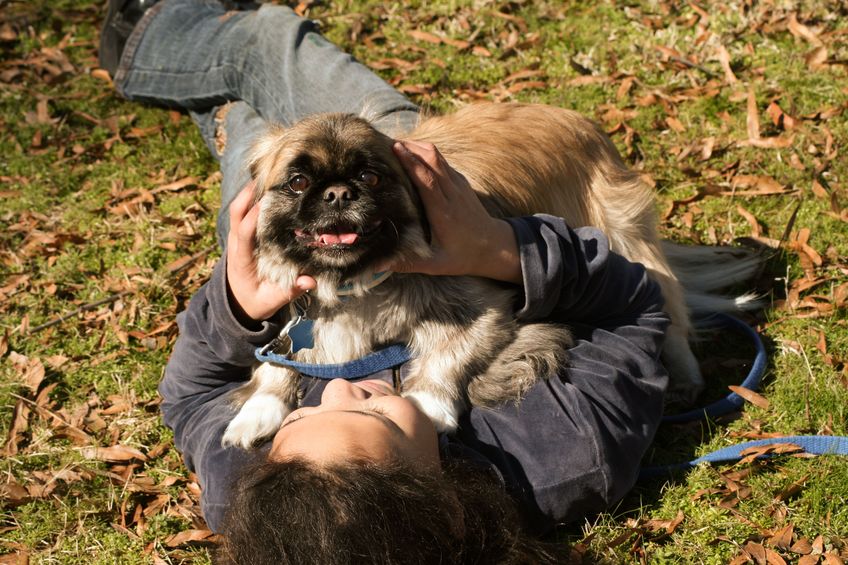 chien wouf wouf avec enfant