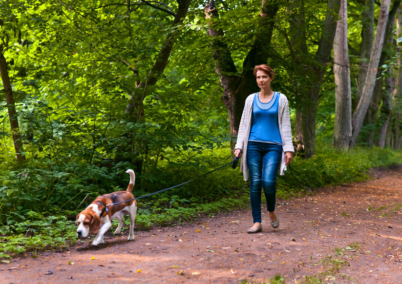 Promenade de chien lors du confinement