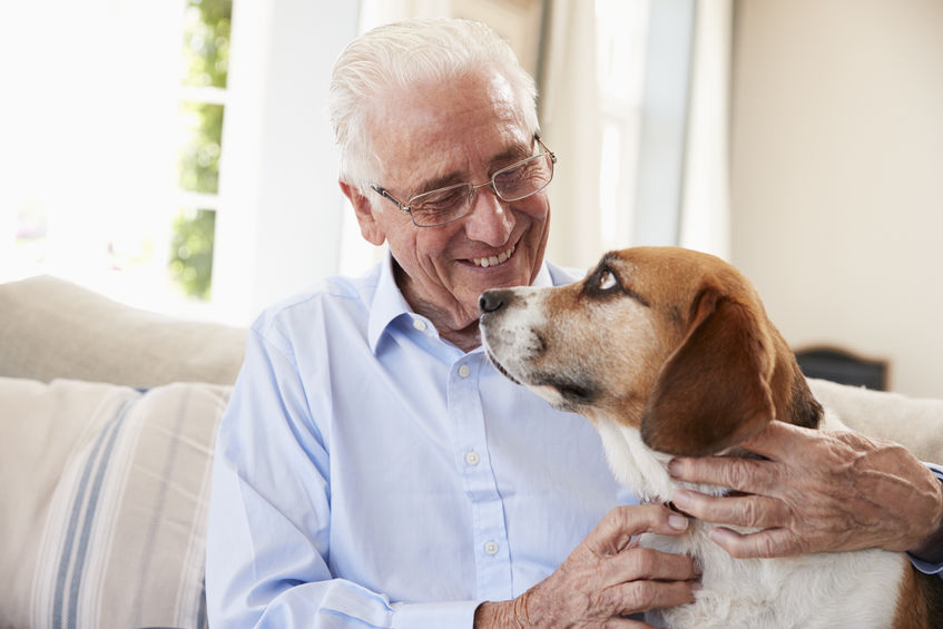 Personne âgées avec son chien