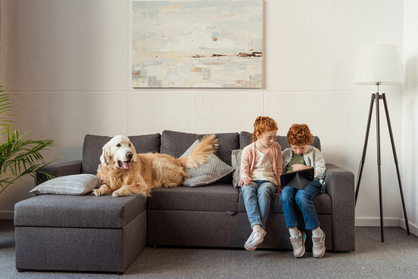 Chien et enfants sur le canapé