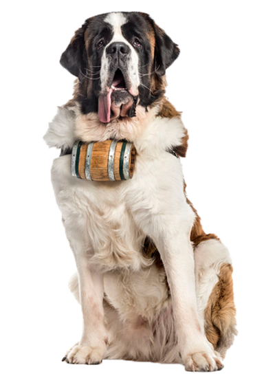 Saint Bernard