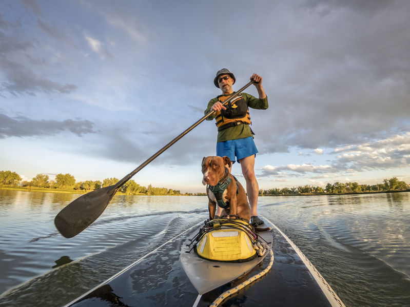 Canni paddle