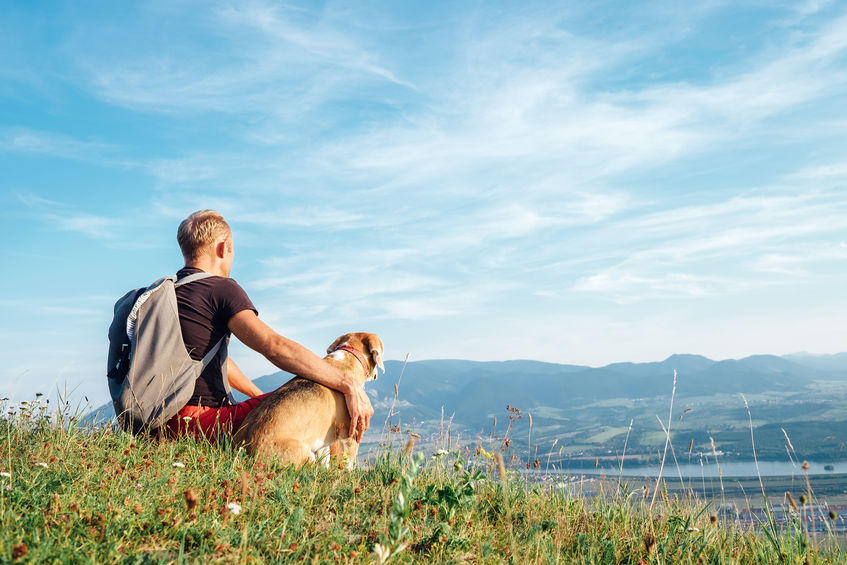 chien wouf wouf en randonnée