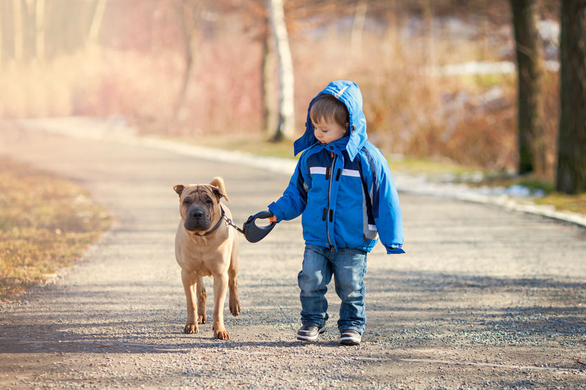 Ballade de chiens 