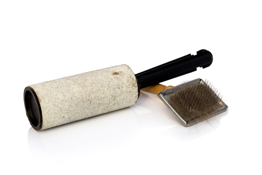 Brosse à rouleau 