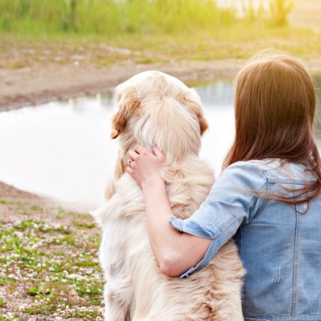 le stress chez le chien