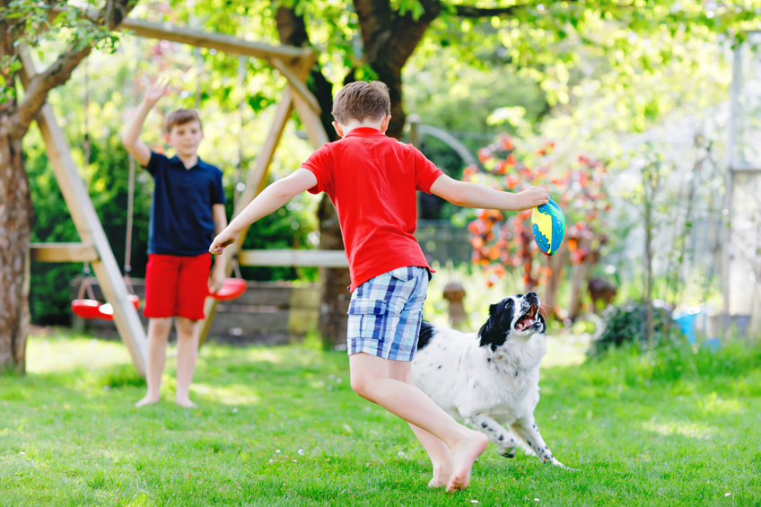 enants avec chien