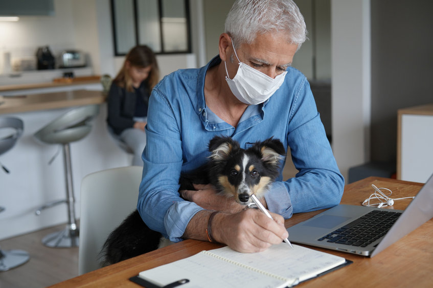 télétravailler avec son chien